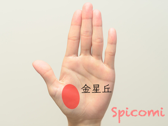 手相占いで金星丘の場所の意味とは?