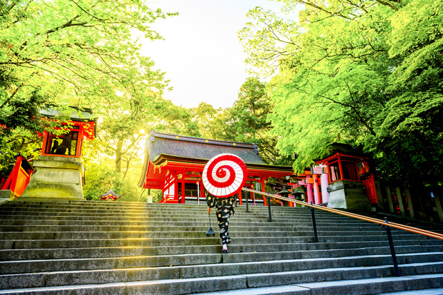 神社の緑の光の玉の意味は?