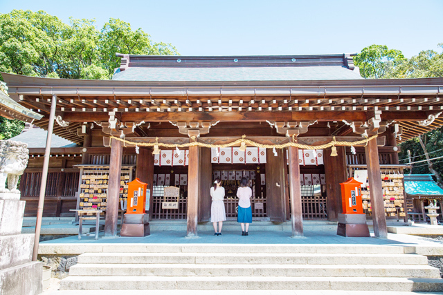 神社の行き過ぎは良くない理由6個