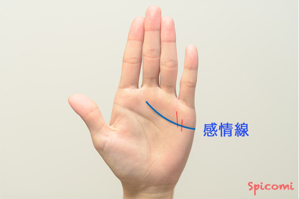 手相で手のひらの縦線の意味21選 親指 中指 薬指 小指 左手右手 Spicomi