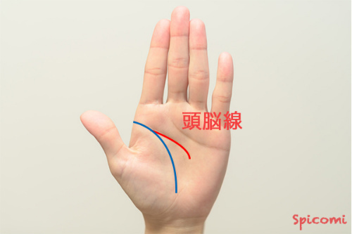 手相占い - 頭脳線（知能線）の始点の位置が生命線上にある