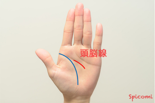 手相占い - 頭脳線（知能線）の始点の位置が中指の下にある
