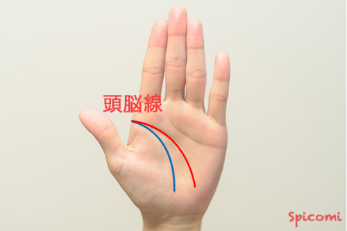 手相占い - 頭脳線(知能線)の終点が月丘の下部に向かっている