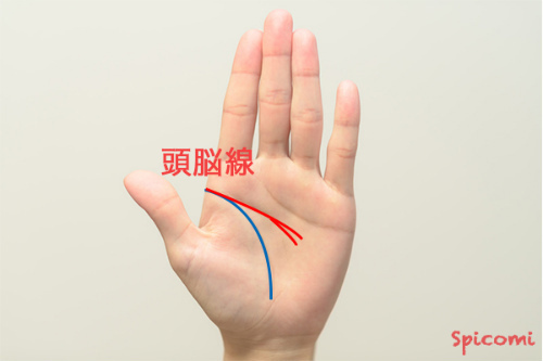 手相占い - 頭脳線(知能線)の終点が枝分かれしている