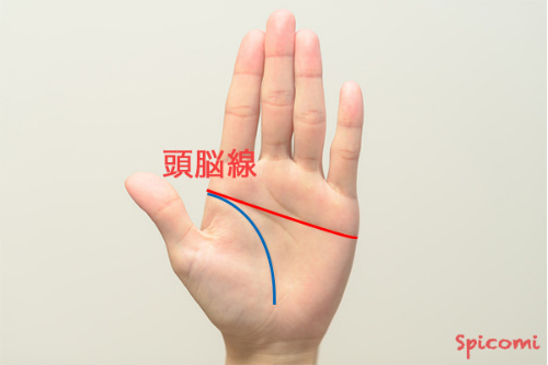 手相占い - 頭脳線(知能線)がますかけ線になっている