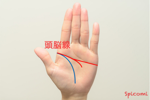 手相占い - 頭脳線に直線的な感情線が接しているマスカケ線