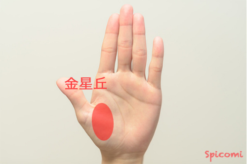 妊娠にかかわる手相占い