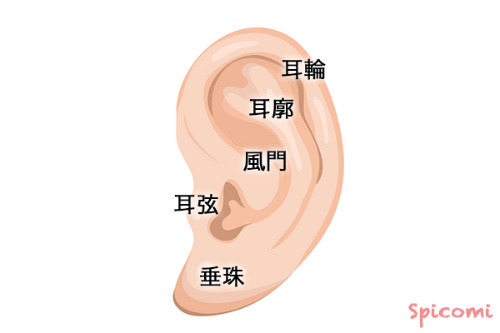 耳を構成する各部分と意味［耳のほくろ占い］