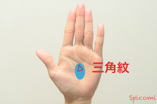 火星平原(手のひらの真ん中)に三角紋がある
