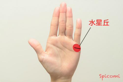 手相占いで水星丘 小指の下 の線や形の意味14選 縦線 横線 Spicomi 手相占いで水星丘 小指の下 の線や形の意味14選 縦線 横線 Spicomi
