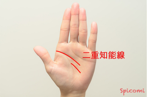 二重知能線 二重頭脳線 の意味10種類 天才 珍しい 手相占い Spicomi 二重知能線 二重頭脳線 の意味10種類 天才 珍しい 手相占い Spicomi