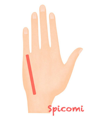 ほくろ占い 手の甲のほくろの意味18選 左手右手で違う Spicomi