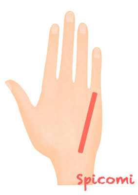 手の甲のほくろ占いの意味18選 左手右手で違う Spicomi