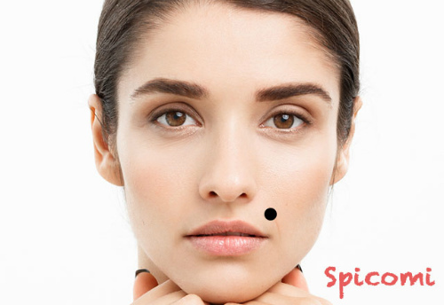 ほくろ占い 鼻の下のほくろの意味12個 左右で違う 芸能人人 Spicomi