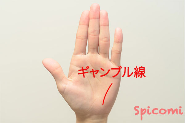 ギャンブル線(直感線)の形と意味
