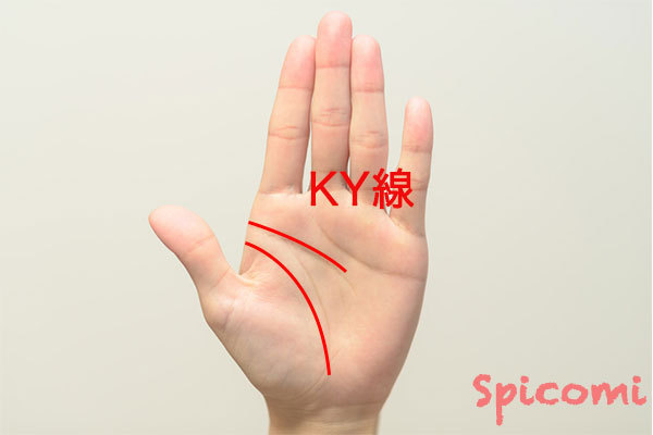 KY線(離れ知能線・頭脳線)の形と意味