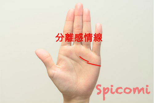 手相占いの分離感情線