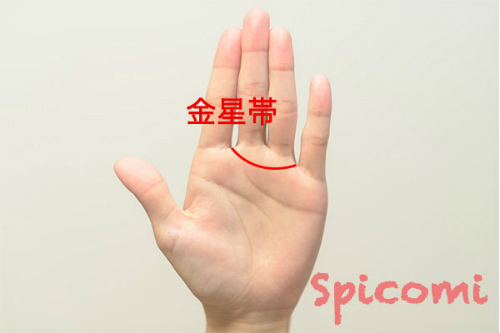 手相占いの金星帯(金星環)