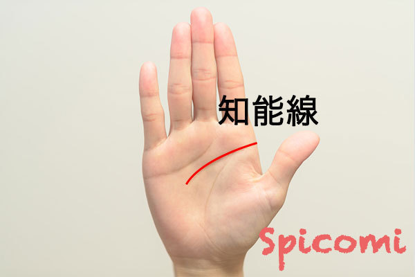 知能線(頭脳線)上にあるほくろの意味と運勢