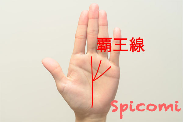 覇王線(三奇紋)の意味と見方