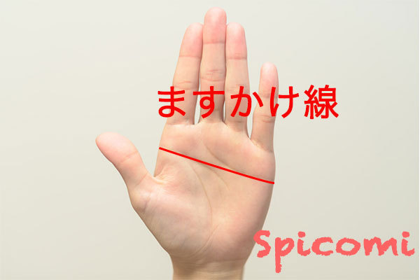 ますかけ線の意味と見方