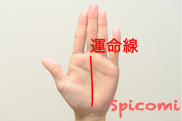 濃く長い運命線の意味と見方