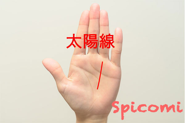 長い太陽線の意味と見方