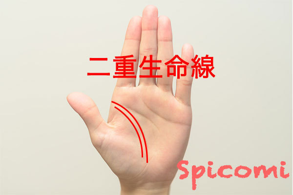 二重生命線の意味と見方