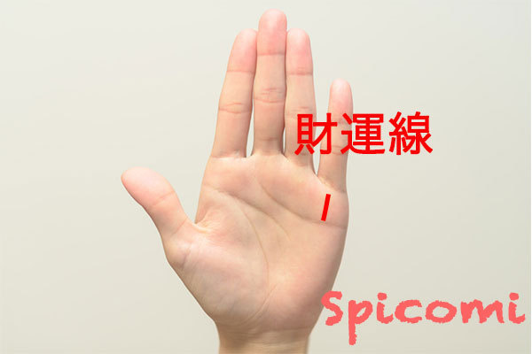 濃い財運線の意味と見方