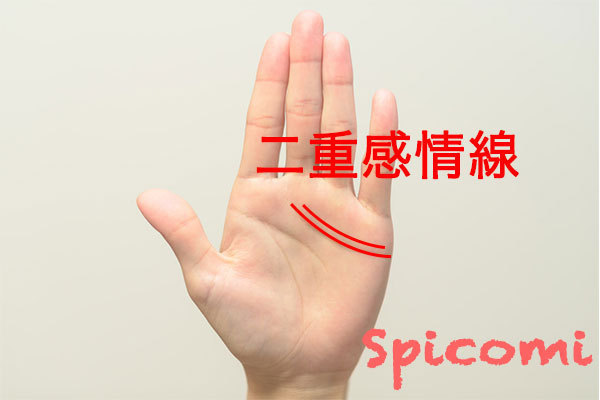 二重感情線の意味と見方