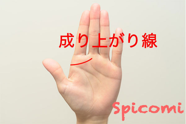 成り上がり線(千金紋)の意味と見方
