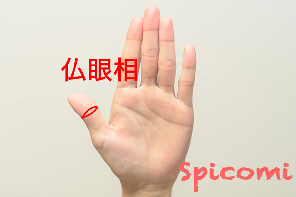 仏眼相の意味と見方