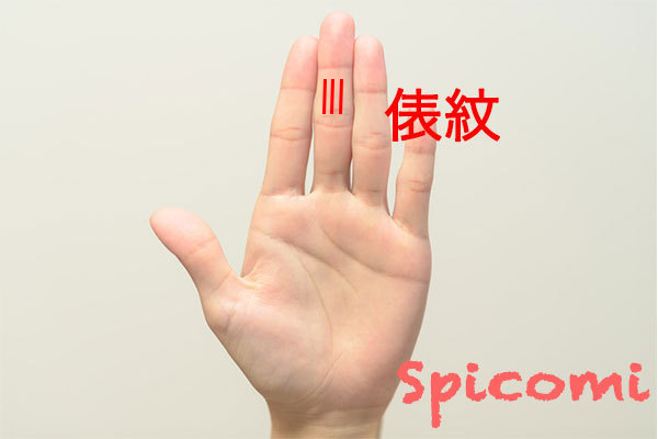 俵紋の意味と見方