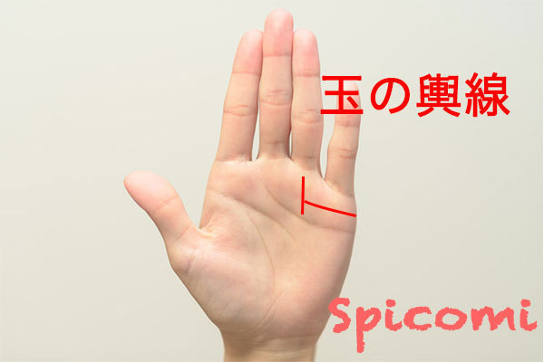 玉の輿線の意味と見方