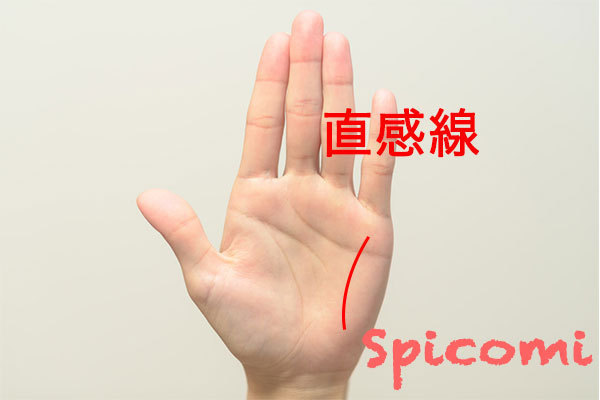直感線の意味と見方