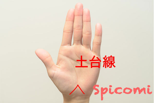 土台線の意味と見方