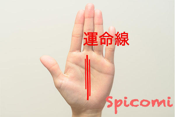 濃い複数の運命線の意味と見方