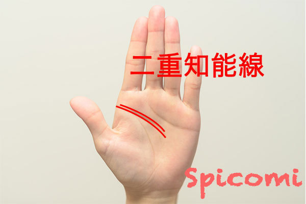 長い二重知能線の意味と見方