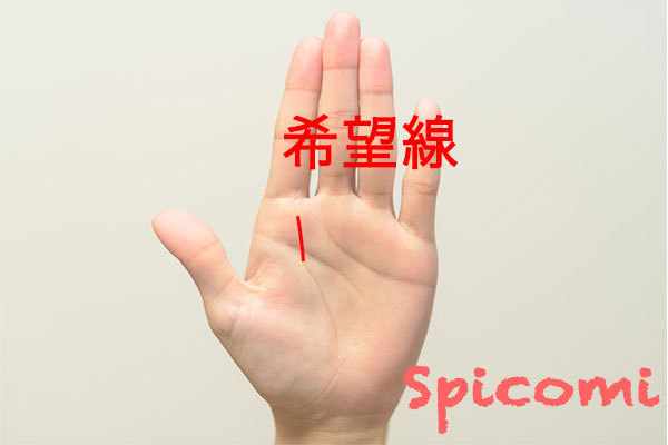 希望線(努力線・上昇線・ベンチャー線)の意味と見方
