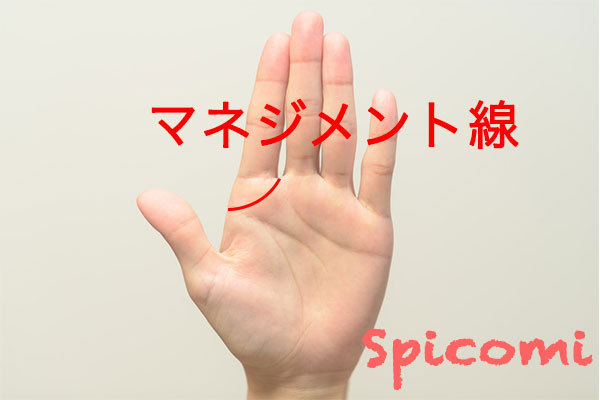 マネジメント線の意味と見方