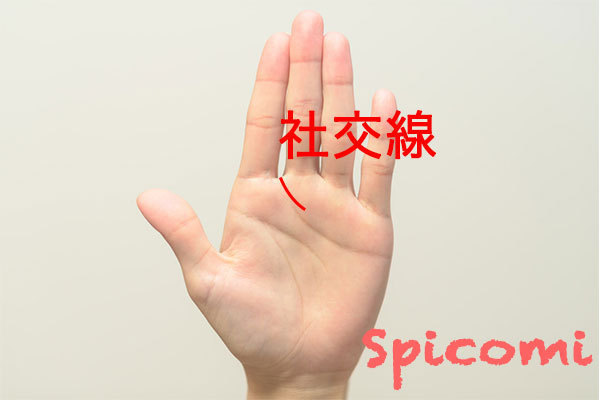 社交線の意味と見方