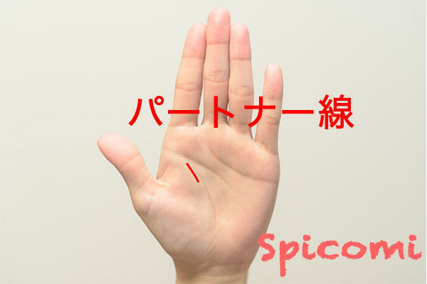 パートナー線の意味と見方