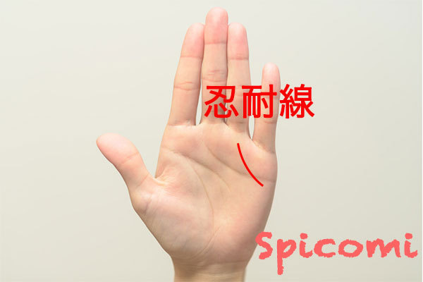 忍耐線の意味と見方
