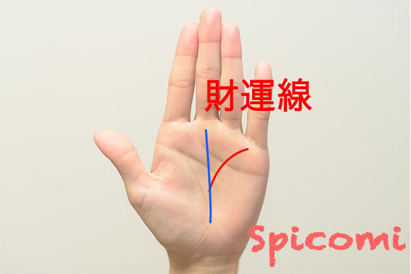 運命線から伸びる財運線の意味と見方