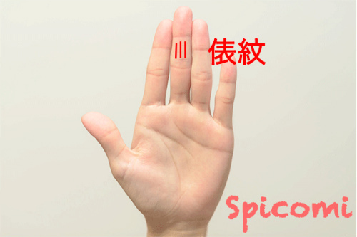 手相占いの俵紋の意味と見方