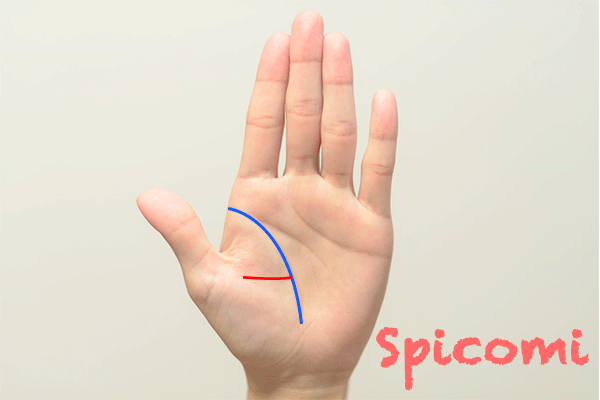 手相占い 手のひらの横線の種類と意味30選 一本 たくさん多い 月丘 Spicomi 手相占い 手のひらの横線の種類と意味30選 一本 たくさん多い 月丘 Spicomi