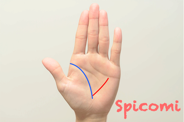 手相占い 手のひらの横線の種類と意味30選 一本 たくさん多い 月丘 Spicomi